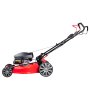 Газонокосилка бензиновая самоходная с двигателем FUBAG Honda FPL 56 SMH в Сыктывкаре фото